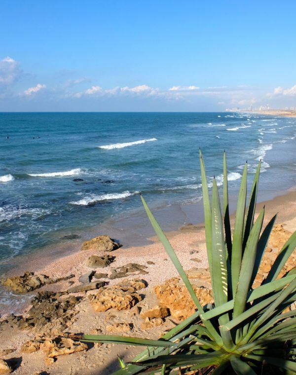 תמונה של שפך נחל שורק וחוף פלמחים - למטייל בישראל (טיולי)